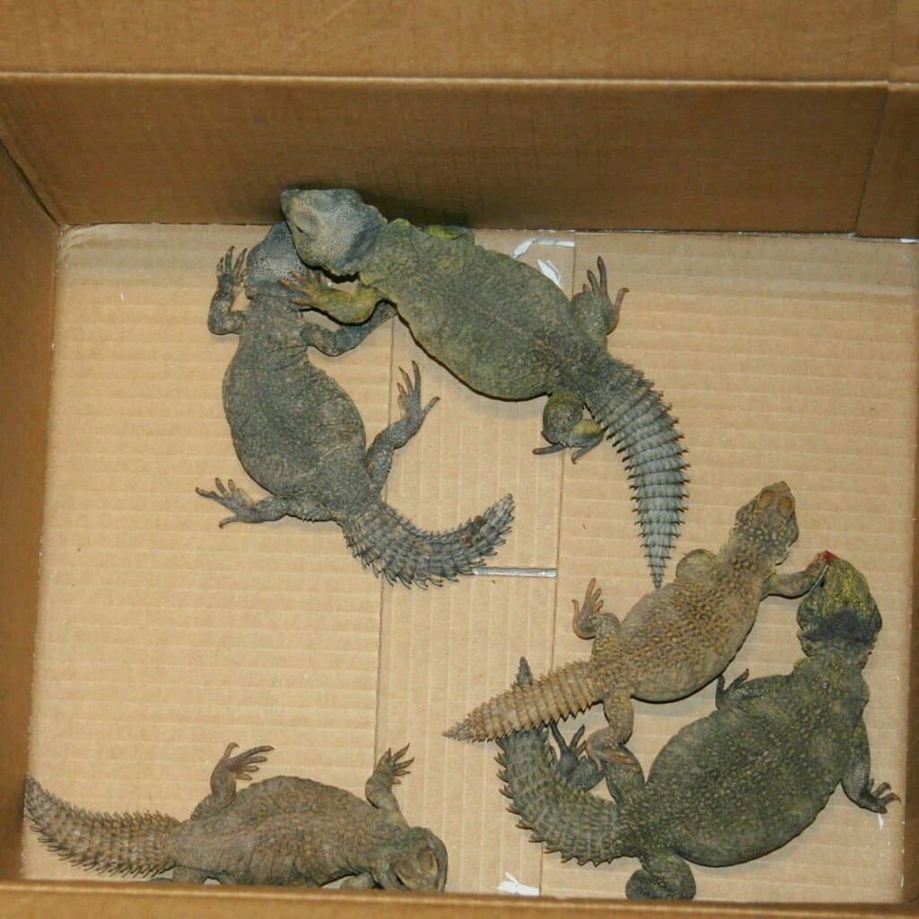 123312506_5017853231565678_6856776668809478040_o