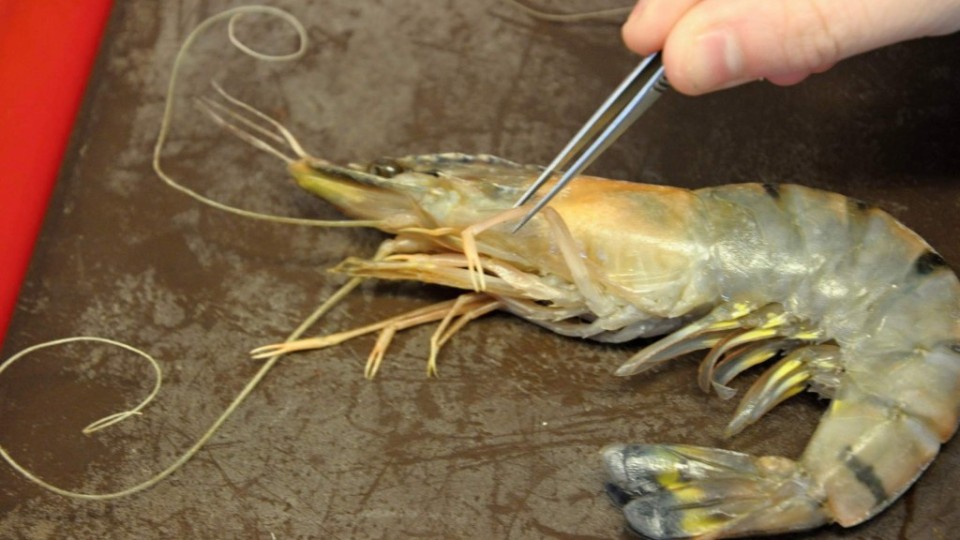 201302141601_dsc_1820