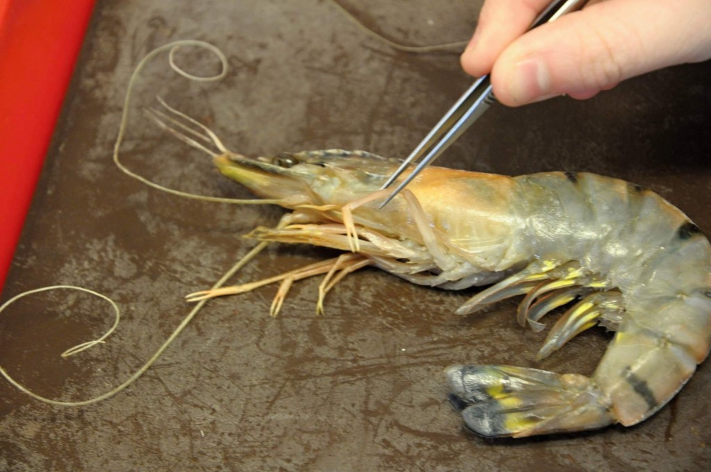 201302141601_dsc_1820