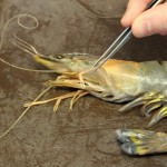 201302141601_dsc_1820