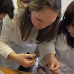 201302141601_dsc_1873