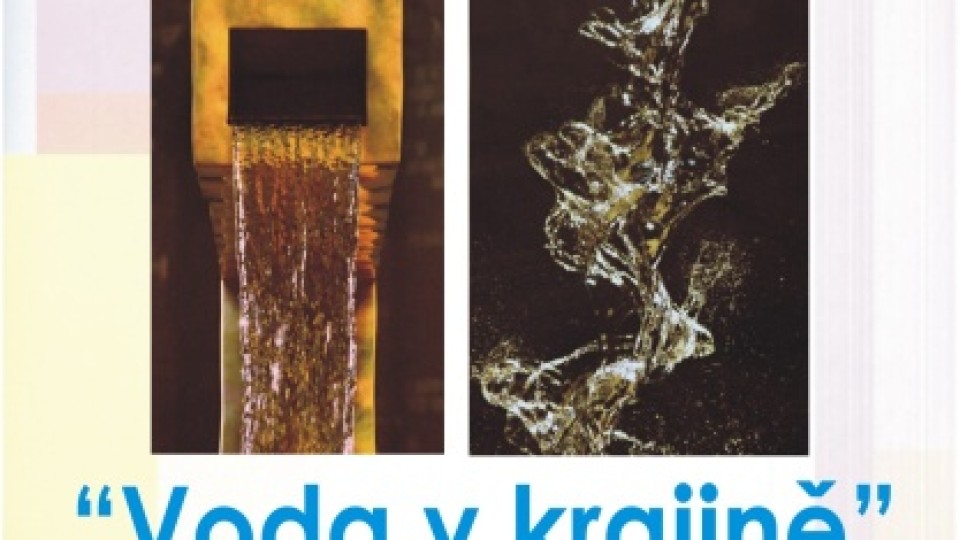 201303112021_plakat_voda_web