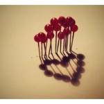 201304011407_fotky013