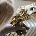 201304121148_dsc_6240