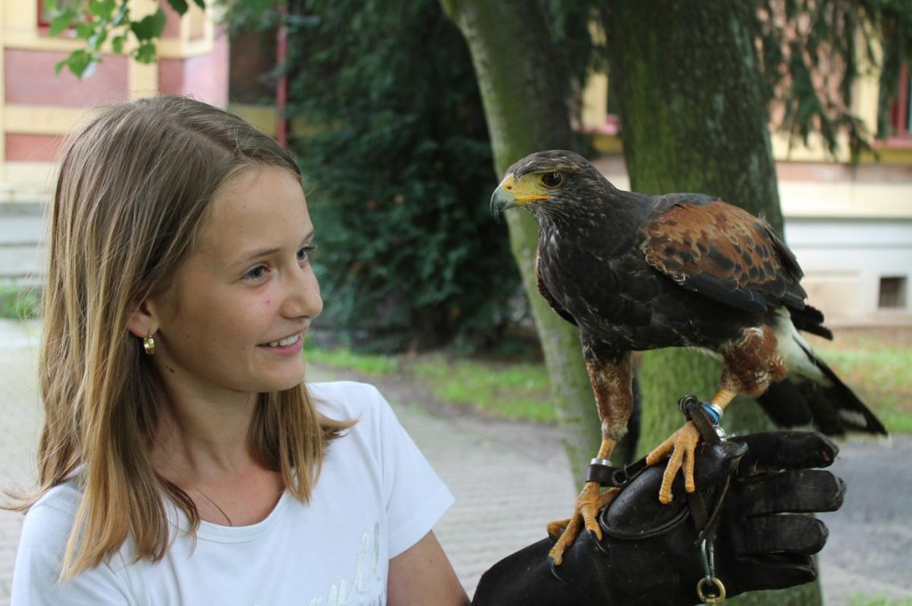 201304211418_img_1669