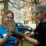 201304301038_dscn0131