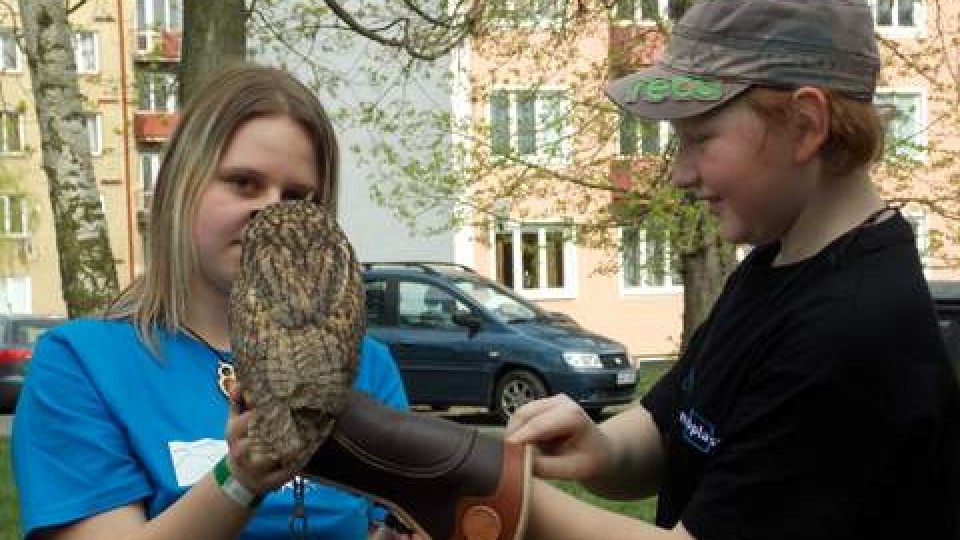 201304301038_dscn0131