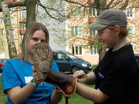 201304301038_dscn0131