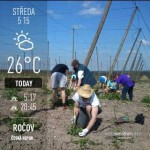 201305151924_1368634898714_1