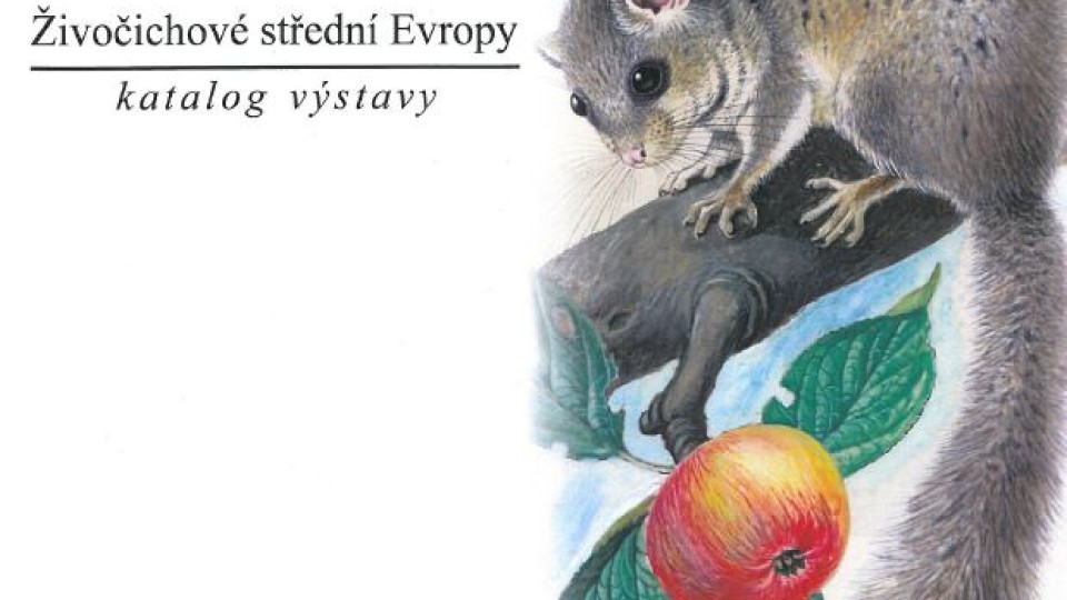 201305211546_ilustratori_prirody_1