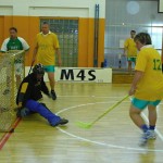 201305272229_p1060861