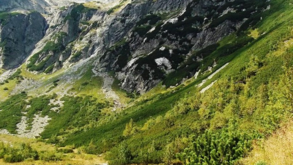 201306181006_100_1277