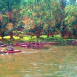 201306191824_19062013236