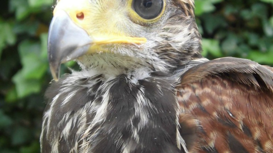 201306250927_976021_673609005989380_1509498690_o