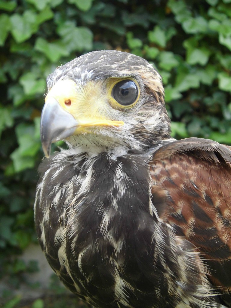 201306250927_976021_673609005989380_1509498690_o