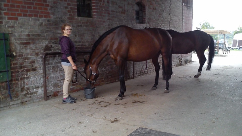 201309111155_berlin_119_2