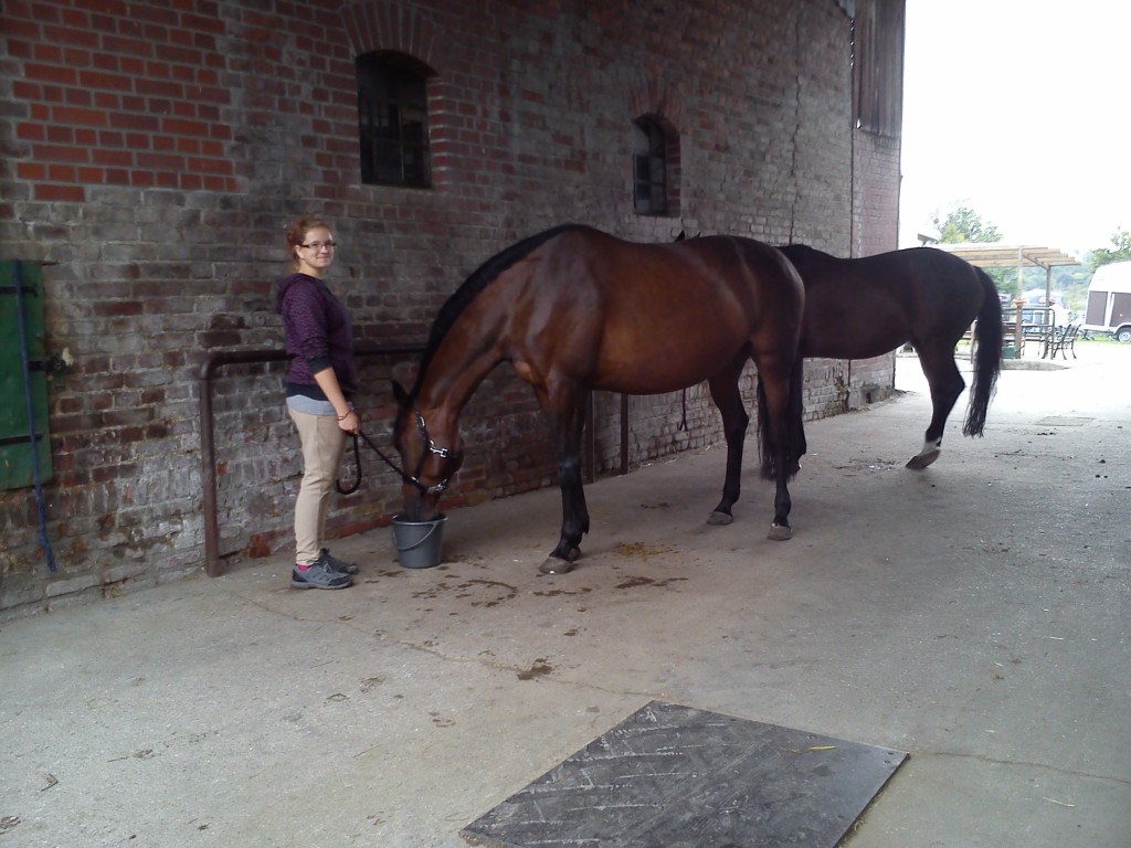 201309111155_berlin_119_2