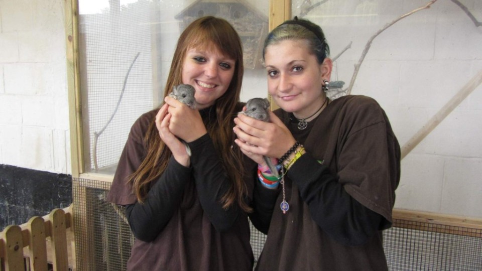 201309130847_londyn_129_3