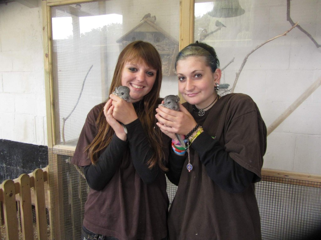 201309130847_londyn_129_3