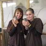 201309130847_londyn_129_3