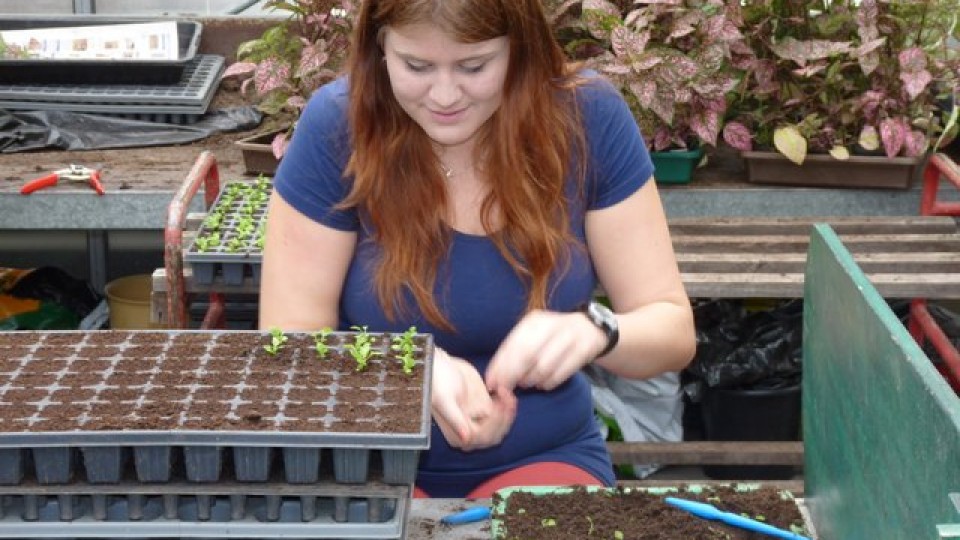 201309130852_p1110529