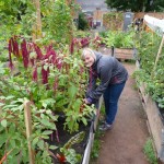 201309130852_p1110532