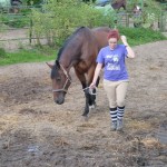 201309180036_p1120010