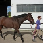 201309180036_p1120016