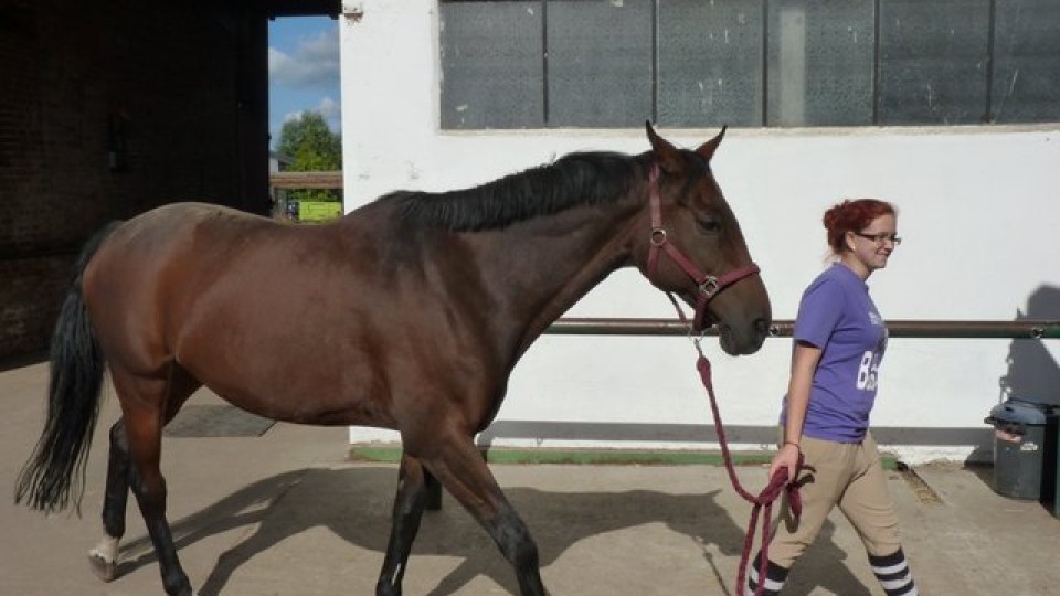 201309180036_p1120016