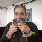 201309221957_londyn_169_1