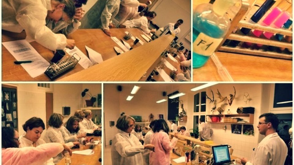 201311200252_dsc_1895_postcard