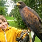 201311252219_1240266_659175887433456_317829244_n