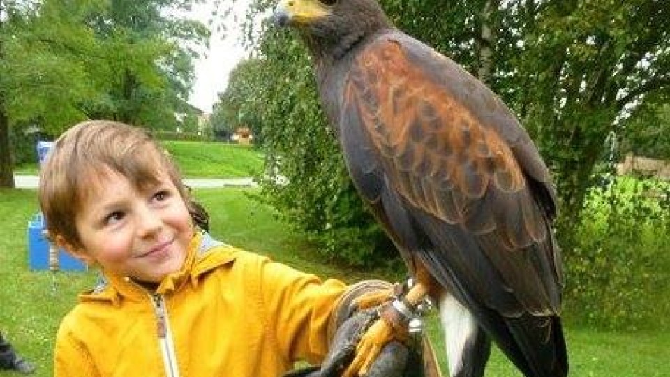 201311252219_1240266_659175887433456_317829244_n