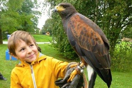 201311252219_1240266_659175887433456_317829244_n