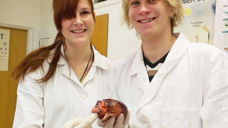 201312071307_imag0024