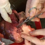 201312071307_imag0088