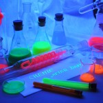 201312071309_dsc_1515