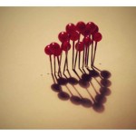 201312180956_svobodova02