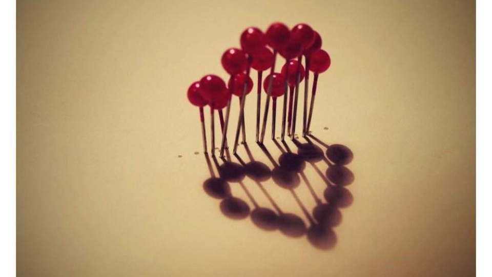 201312180956_svobodova02