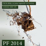 201401011412_sh_pf2014