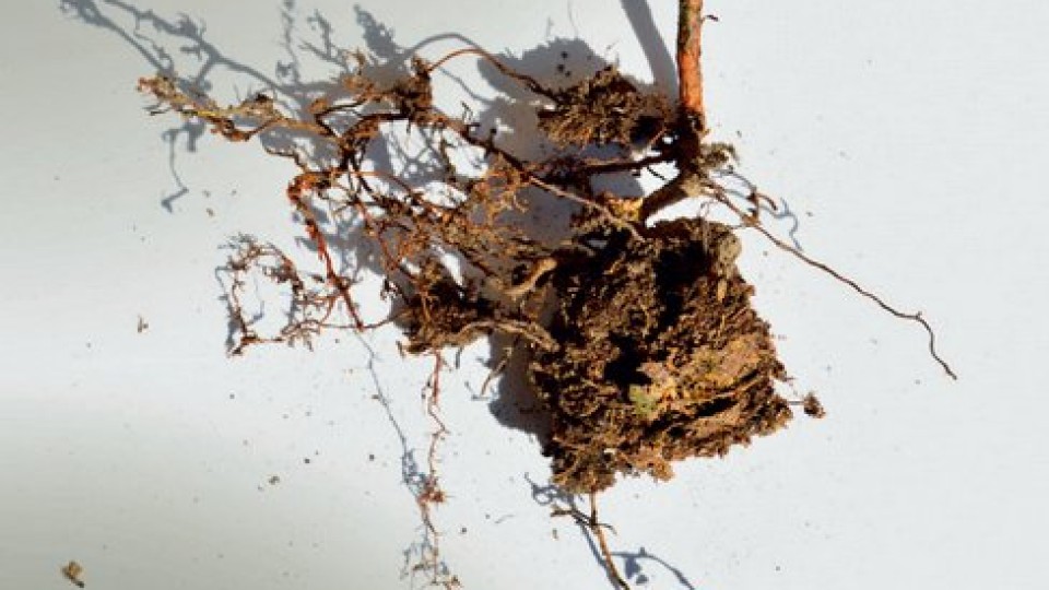 201401011412_sh_pf2014