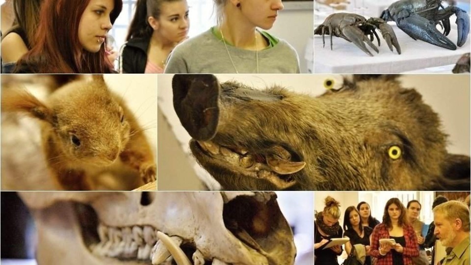 201403272132_dsc_4338_postcard