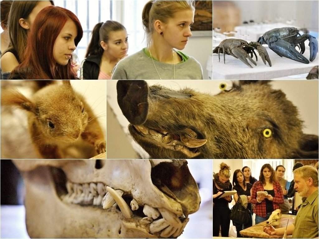 201403272132_dsc_4338_postcard