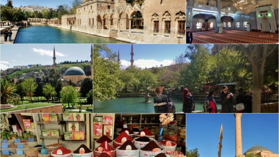 201403302125_10173081_549319378514700_1295986874_o_postcard