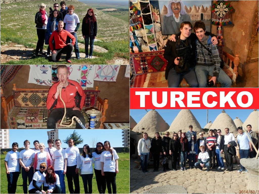 201403312149_1932595_549339251846046f_861265079_o_postcard