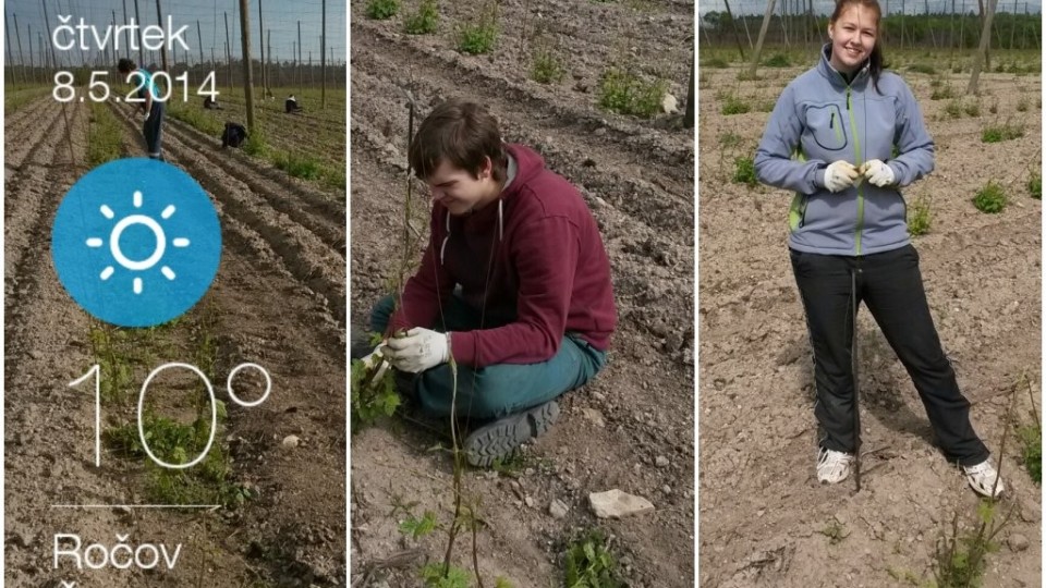 201405081150_chmel2014