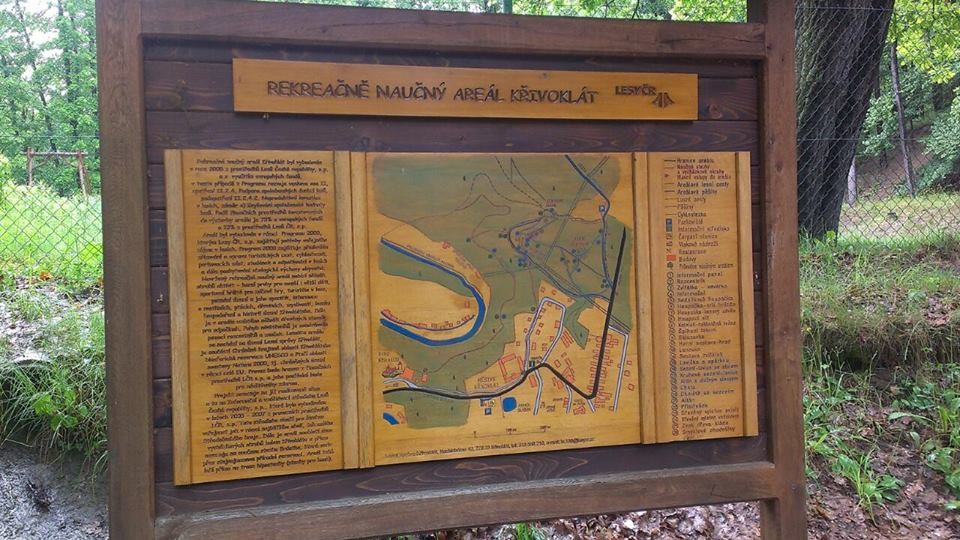 201405302139_10289858_797634263587617_5198274776178120215_n