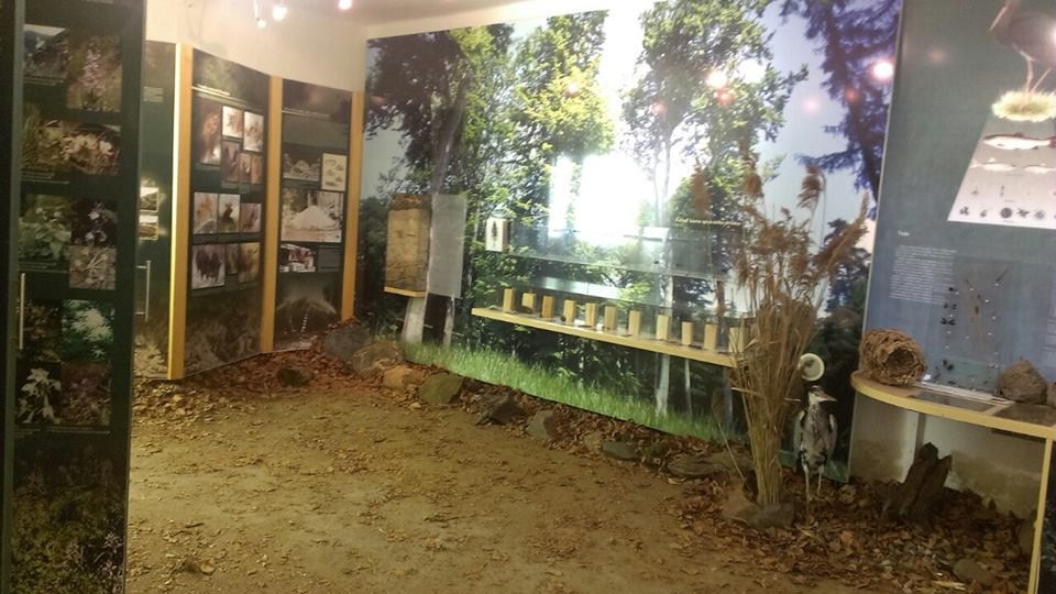 201405302140_10352585_797657670251943_459886004898751789_n