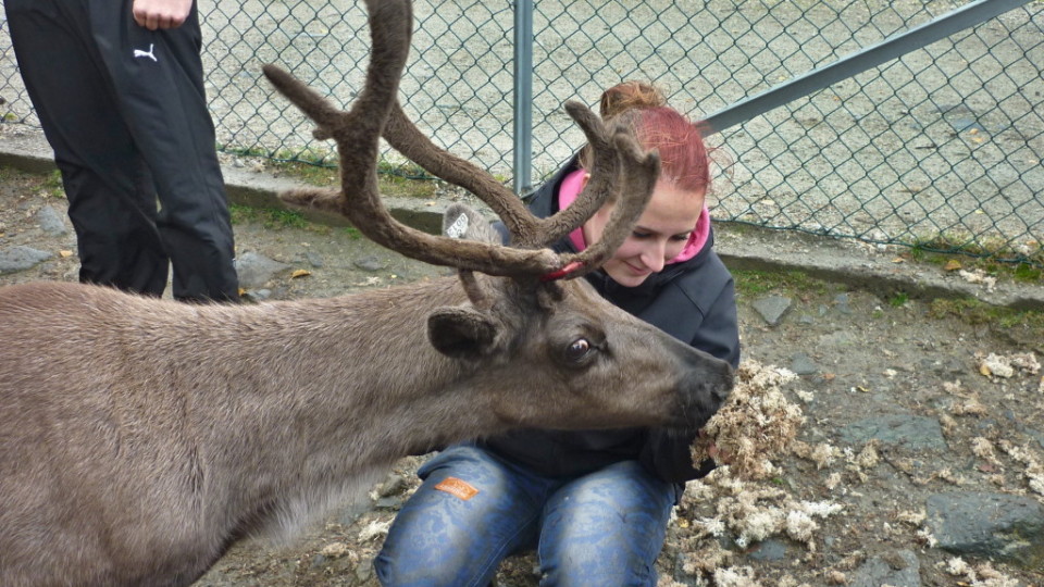 201409161219_p1100565