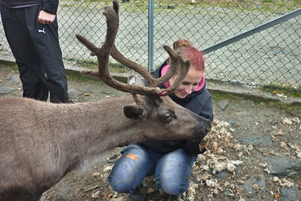 201409161219_p1100565